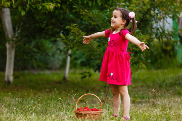 Little girl is carrying a basket of strawberries