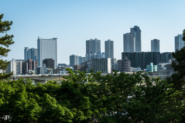 Fototapeta na wymiar 多摩川台公園から見る武蔵小杉のビル群２
