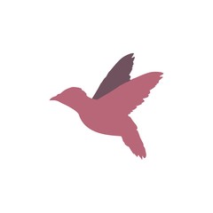 Obraz premium птичка