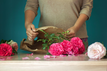 Obraz na płótnie Canvas girl florist wraps beautiful pink roses in paper