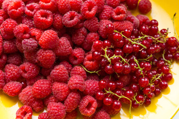 plate of raspberries and currants