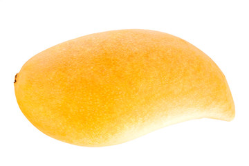 mangos on white background