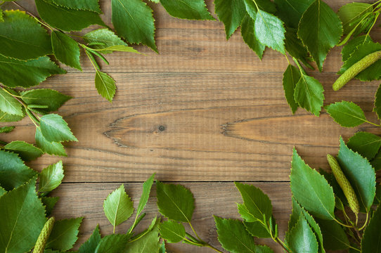 green leaves on a wooden table