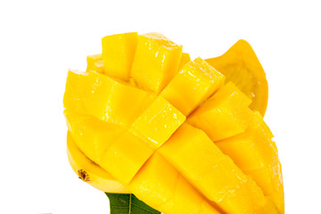 mangos on white background