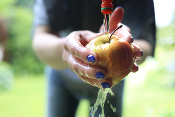 Ekologiczne owoce prosto z drzewa. Kobieta myje jabłko pod bieżącą wodą. - obrazy, fototapety, plakaty