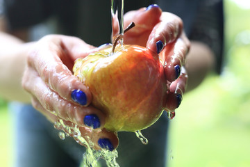 Jabłko prosto z sadu. Kobieta myje jabłko pod bieżącą wodą. - obrazy, fototapety, plakaty