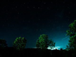starry night in the forest