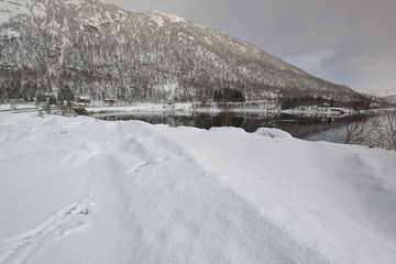 View of Lobergsbukta bay-W.side Gullesfjorden near Gullesfjordbotn-end. Central Hinnoya island-Norway.0069