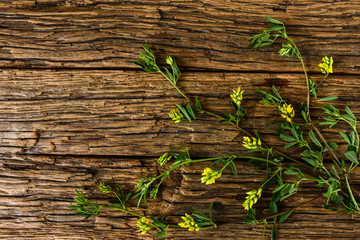 Background with wildflowers © dominikab