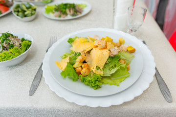 Appetizing meat salad with breadcrumbs cheese and lettuce close-up.