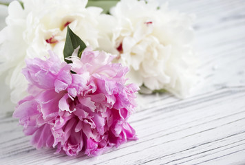 White purple peony flower on white wooden background.