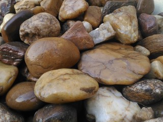 Sedimentary Rocks