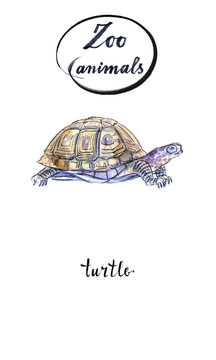 Land turtle (tortoise) in watercolor