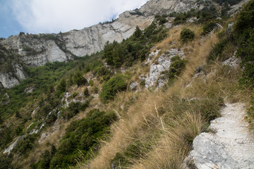 Fototapeta na wymiar Sentiero, Parco Naturale del Conero 