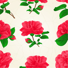 Seamless texture three Flowers Camellia Japonica  with buds vintage  crack vector illustration editable hand draw