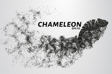 Fototapeta na wymiar Chameleon particle. The silhouette of a chameleon is made up of little circles.