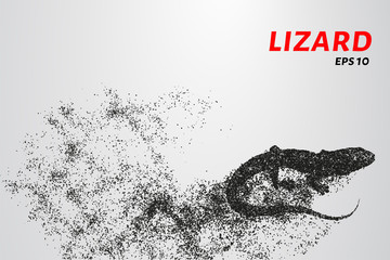 Fototapeta na wymiar Lizard of particles. Silhouette of a lizard is of little circles.