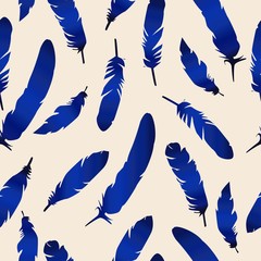 Bird feather silhouette  background