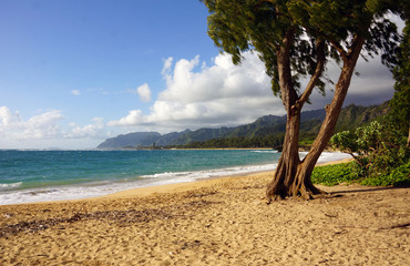 Laie Beach, Oahu, Hawaii