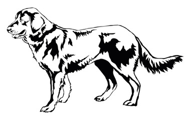 Decorative standing portrait of Dog (shepherd) vector illustration