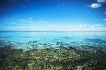 Fototapeta na wymiar plage en polynésie, tahiti 