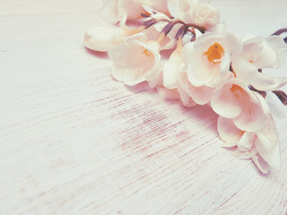 Vintage background – white flowers on wood