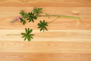 Lupine flowers on a wooden table