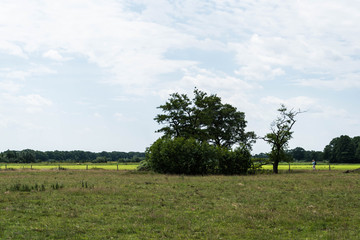 Fototapeta premium Route Pieterpad Hardenberg-Ommen