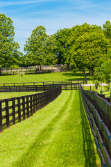 Country landscape.