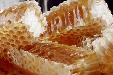 Fresh full honeycomb close-up