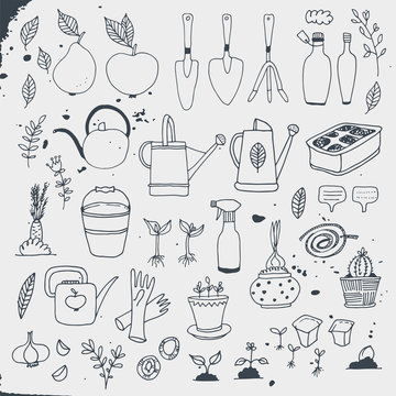 Gardening, horticulture vector set, equipment and tools, vegetables and plants isolated on white background