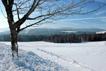 Winter in Breitnau in the Black Forest, Germany