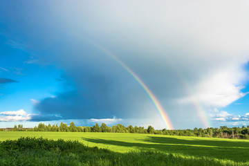 Colorful rainbow over the green field.