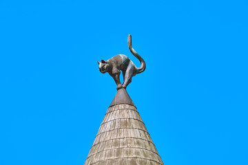 Cat on the Top of a Roof