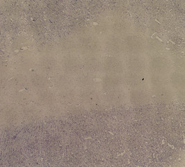 human body cells under a microscope