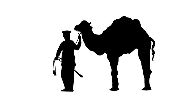 us cavalry - camel - trophy
