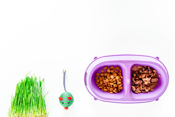 Obraz na płótnie Canvas Cat feed in bowl, mouse toy and grass on white background top view copyspace