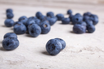 Freshly picked blueberries