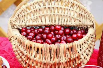 Basket full of cherries presented at the village festive fair. Basket of vines handmade full of berries red.