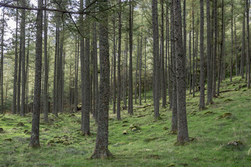 Naklejka premium Buttermere, Lake District