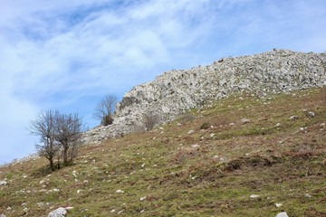 Fototapeta na wymiar Sedimentary Rock In Nebrodi Park, Sicily