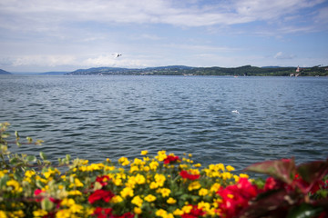 Fototapety  Blick vom Bodensee im Sommer