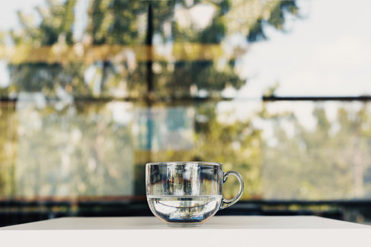 Cup of water. Beautiful reflection of tree