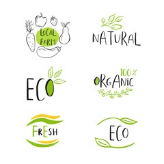 Vector eco, bio green logo or sign. Vegan, raw, healthy food badge