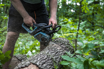 A man with a chainsaw cuts the tree