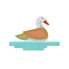 Vector duck club for hunting label, badge, tag.