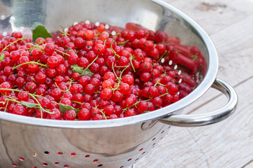 Red currants in a metal colander