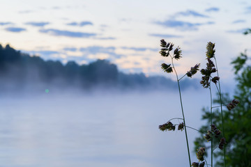 Foggy morning on lake, first rays of the sun. Magic dawn.Silhouettes of forest and coastal grass. Concept of seasons, environment, natural beauty, natural background