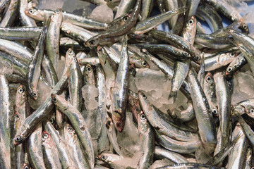 Fish still life. Fresh fish Engraulis on ice