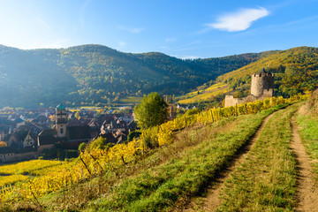 Fototapeta na wymiar Chateau de Kaysersberg - historical village in wine region, vineyards in Alsace, France - Europe